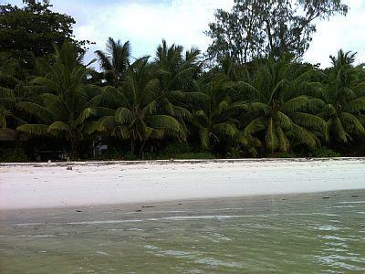La Colombe D'Or Grand Anse (Praslin) Exterior foto